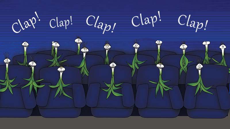 Bizzy Buddies - The Senator's New Clothes Snail's Pace Productions Vuja Day Writer Illustrator