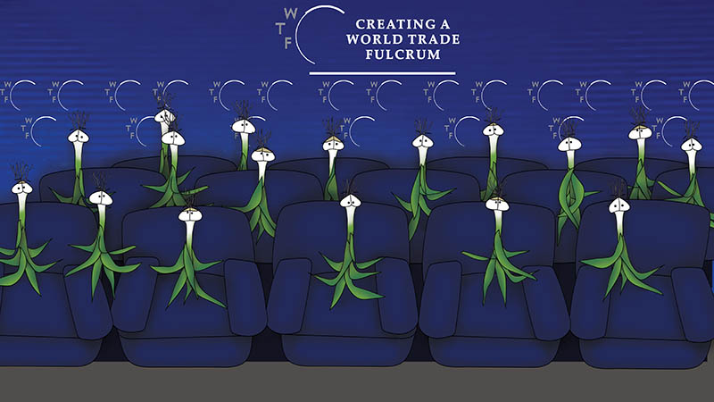 Bizzy Buddies - The Senator's New Clothes Snail's Pace Productions Vuja Day Writer Illustrator