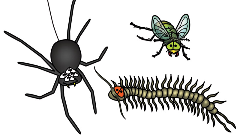 Bizzy Buddies - The Senator's New Clothes Snail's Pace Productions Vuja Day Writer Illustrator