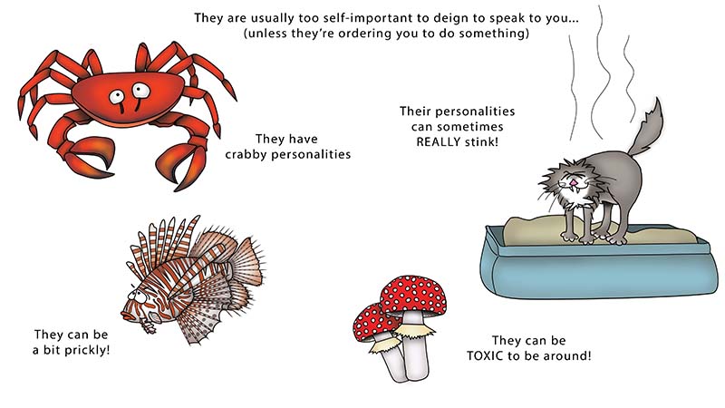 Bizzy Buddies - The Senator's New Clothes Snail's Pace Productions Vuja Day Writer Illustrator