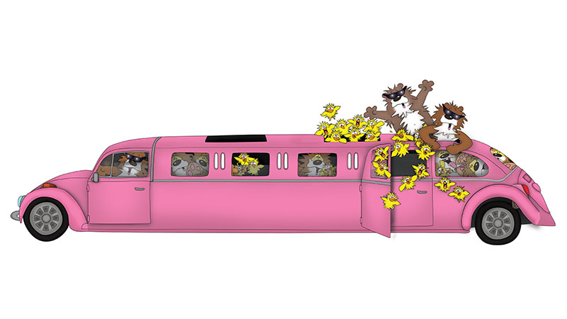 Bizzy Buddies - The Senator's New Clothes Snail's Pace Productions Vuja Day Writer Illustrator