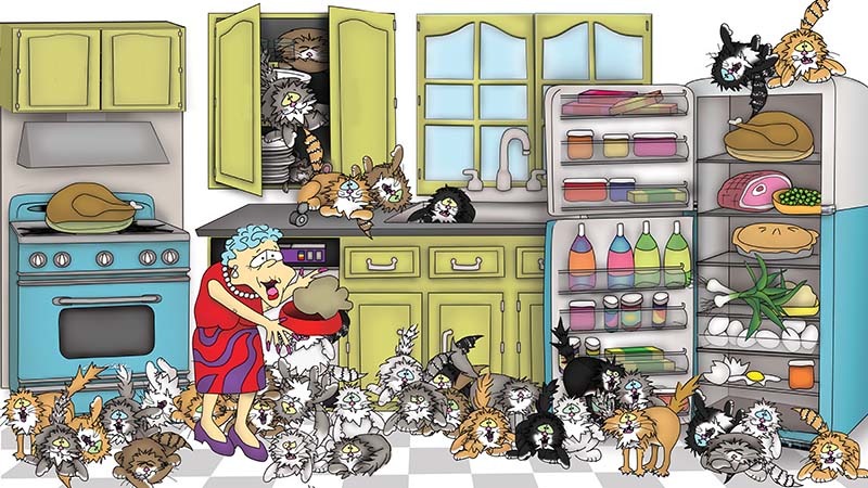 Bizzy Buddies - The Senator's New Clothes Snail's Pace Productions Vuja Day Writer Illustrator