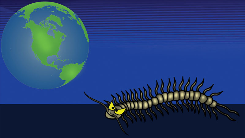 Bizzy Buddies - The Senator's New Clothes Snail's Pace Productions Vuja Day Writer Illustrator