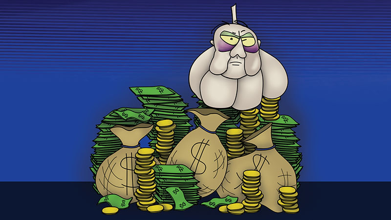 Bizzy Buddies - The Senator's New Clothes Snail's Pace Productions Vuja Day Writer Illustrator