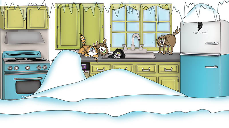 Bizzy Buddies - The Senator's New Clothes Snail's Pace Productions Vuja Day Writer Illustrator