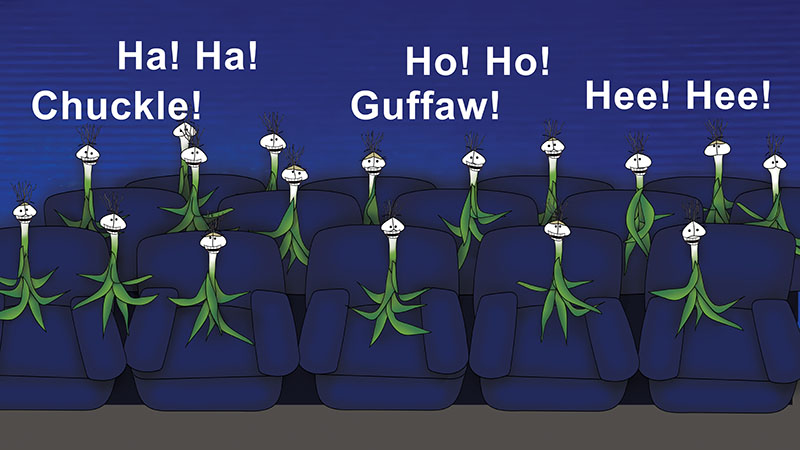 Bizzy Buddies - The Senator's New Clothes Snail's Pace Productions Vuja Day Writer Illustrator