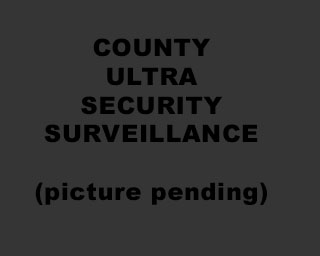 The Bizzy Buddies Snail's Pace Productions Humorous Illustrated Stories Vuja Day Artist Illustrator County Ultra Security Surveillance CUSS