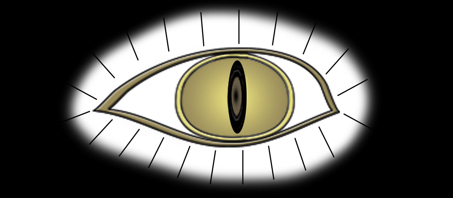 The Eye Of Improvidence The Bizzy Buddies Snail's Pace Productions Vuja Day Comedian Writer Artist