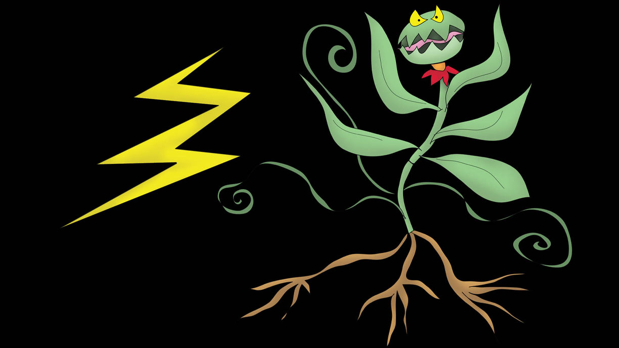 The Power Plant The Bizzy Buddies Snail's Pace Productions Vuja Day Comedian Writer Artist