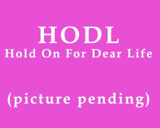 The Bizzy Buddies Snail's Pace Productions Humorous Illustrated Stories Vuja Day Artist Illustrator HODL NFTs Crypto Currency