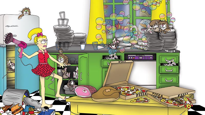 The Clutter Queen Bizzy Buddies Snail's Pace Productions