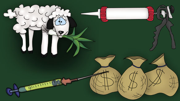 Bizzy Buddies Snail's Pace Productions