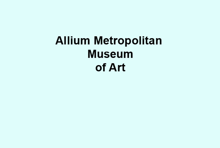 Allium Metropolitan Museum Bizzy Buddies - Snail's Pace Productions