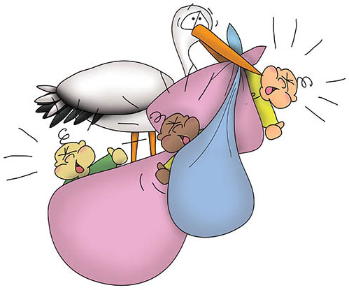 Bizzy Buddies Snail's Pace Productions