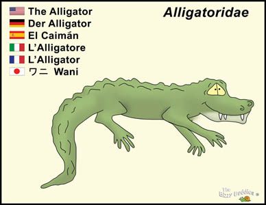 Bizzy Buddies Alligator cartoon character