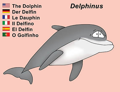 Bizzy Buddies Dolphin cartoon character