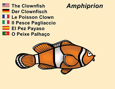 Bizzy Buddies Clownfish cartoon character