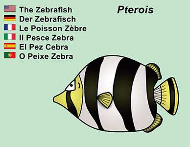 Bizzy Buddies Zebrafish cartoon character