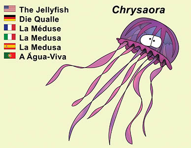 Bizzy Buddies Jellyfish cartoon character