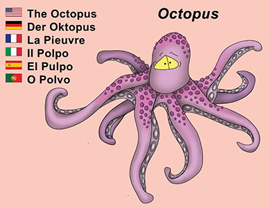 Bizzy Buddies Octopus cartoon character