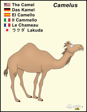 Bizzy Buddies Camel cartoon character
