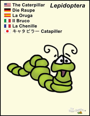 Bizzy Buddies Praying Mantis cartoon character