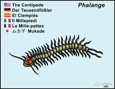 Bizzy Buddies Centipede cartoon character