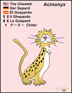 Bizzy Buddies Cheetah cartoon character