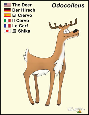 Bizzy Buddies Deer cartoon character