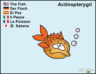 Bizzy Buddies Fish cartoon character