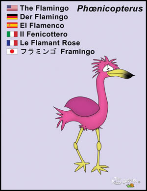 Bizzy Buddies Flamingo cartoon character