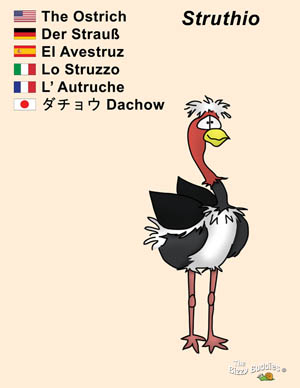 Bizzy Buddies Ostrich cartoon character