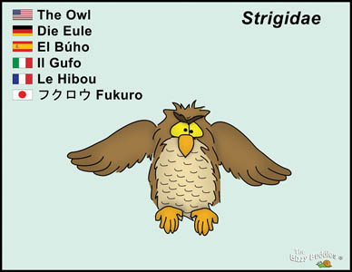 Bizzy Buddies Owl cartoon character