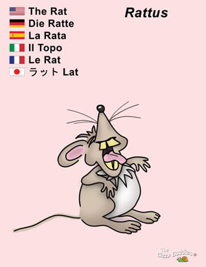 Bizzy Buddies Rat cartoon character