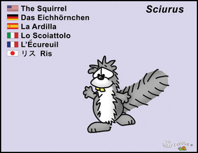Bizzy Buddies Squirrel cartoon character