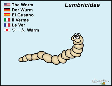 Bizzy Buddies Earth Worm cartoon character