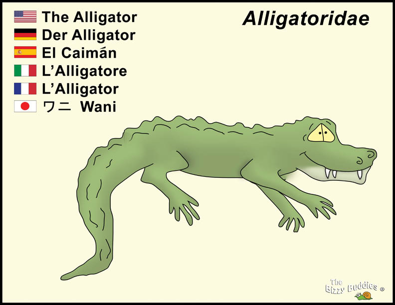 Bizzy Buddies - Alligator cartoon character Lorraine Day