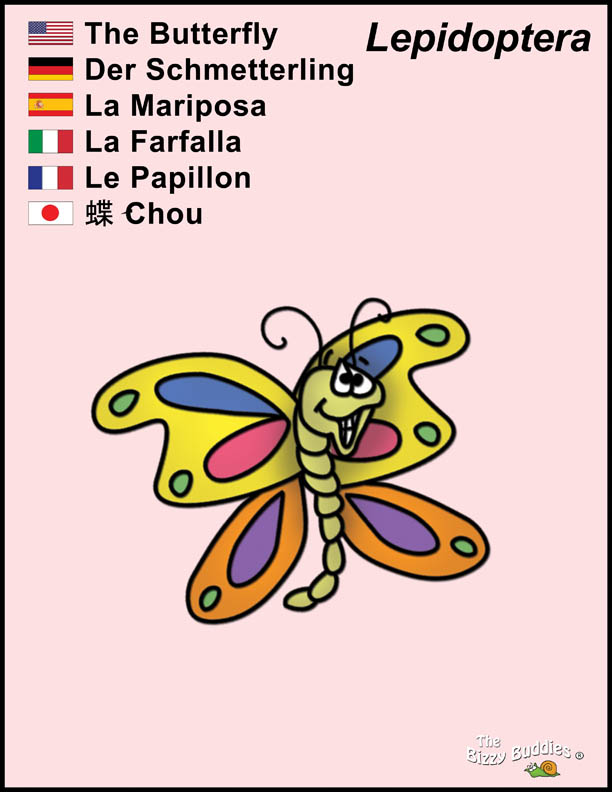 Bizzy Buddies - Butterfly cartoon character Lorraine Day