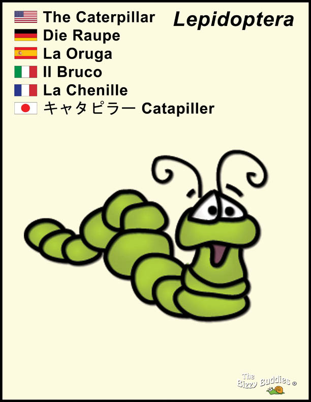 Bizzy Buddies - Caterpillar cartoon character Lorraine Day