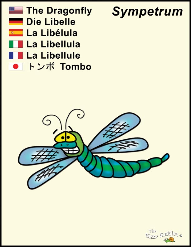 Bizzy Buddies - Dragonfly cartoon character Lorraine Day