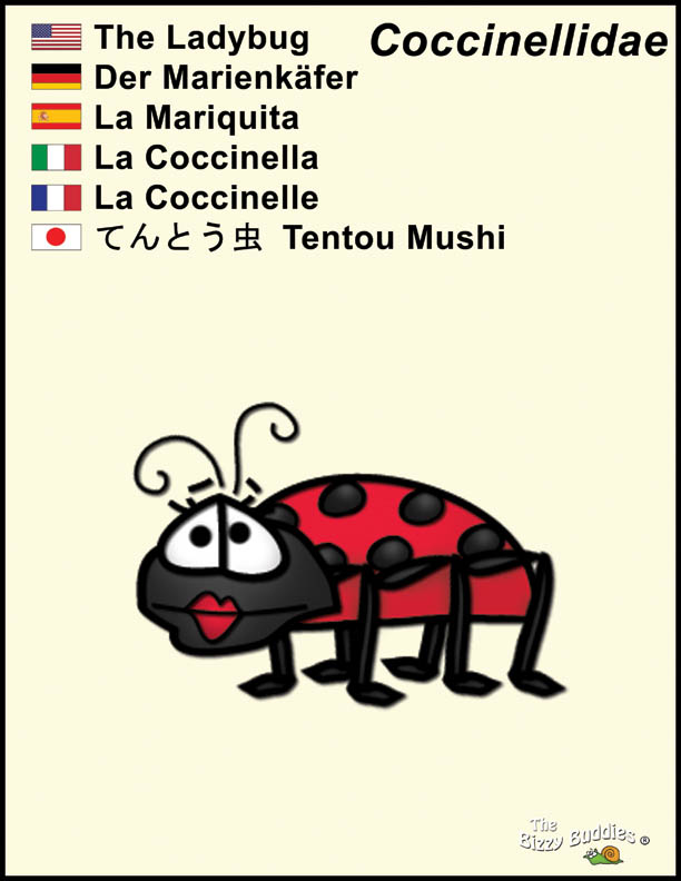 Bizzy Buddies - Ladybug cartoon character Lorraine Day