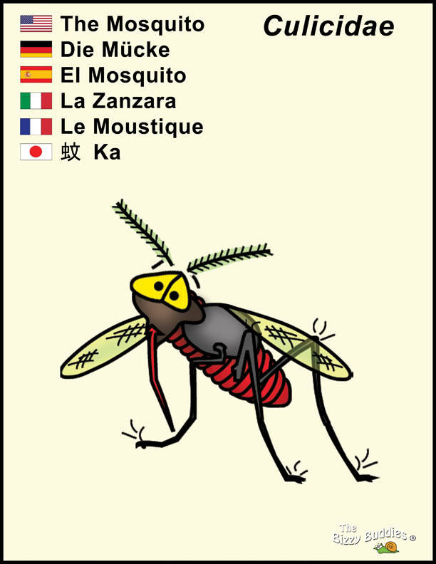 Bizzy Buddies - Mosquito cartoon character Lorraine Day