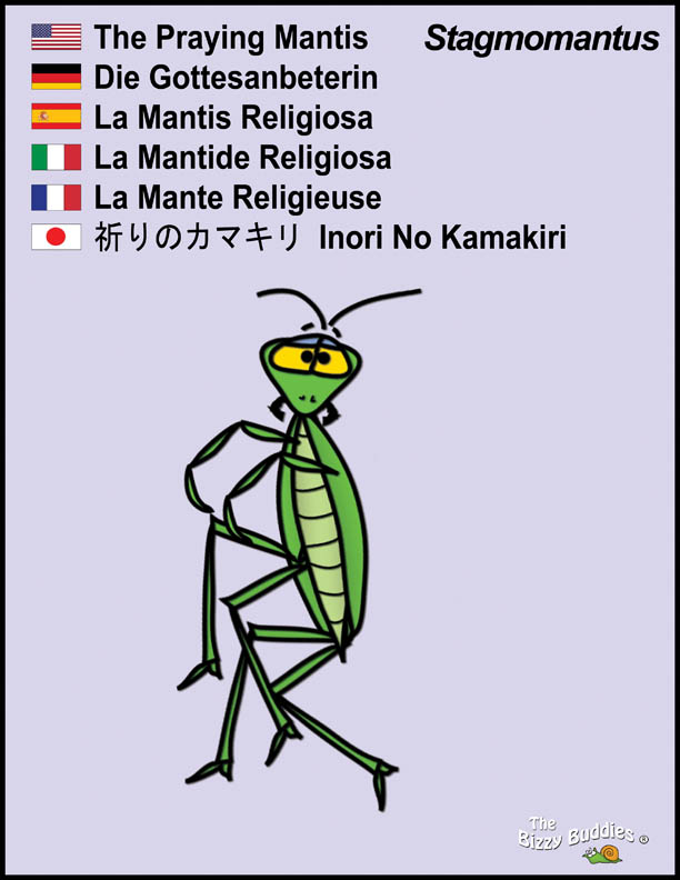 Bizzy Buddies - Praying Mantis cartoon character Lorraine Day